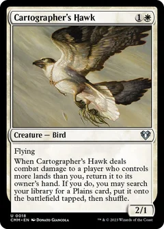 Cartographer's Hawk Foil 18