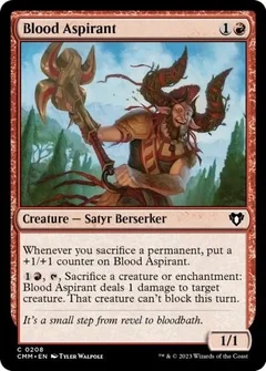 Blood Aspirant 208