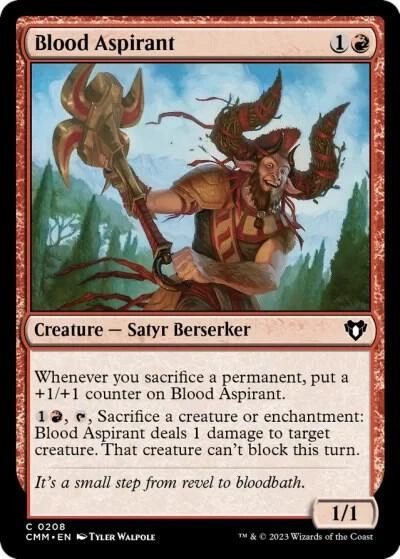 Blood Aspirant Foil