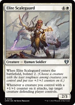 Elite Scaleguard Foil 22