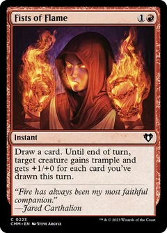 Fists of Flame Foil 223