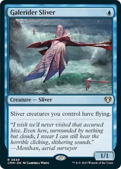 Galerider Sliver 849