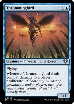 Thrummingbird 858