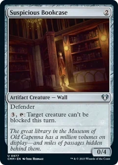 Suspicious Bookcase 977