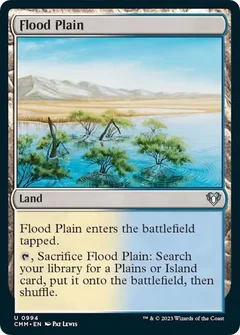 Flood Plain 994