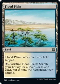 Flood Plain 210