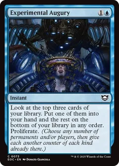 Experimental Augury 73