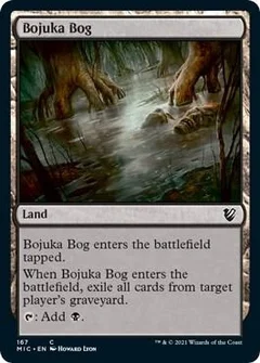 Bojuka Bog 167