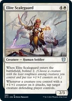 Elite Scaleguard 85