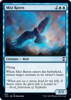 Mist Raven 41