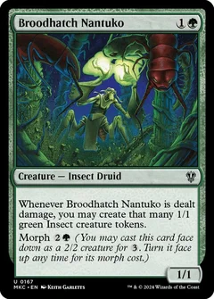 Broodhatch Nantuko 167