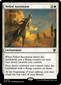 Veiled Ascension 18