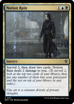 Notion Rain 217