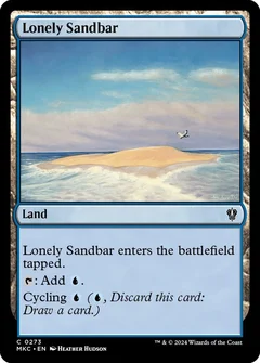 Lonely Sandbar 273