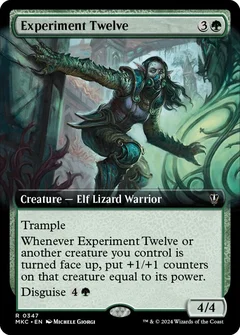 Experiment Twelve (Extended Art) 347