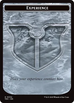 Experience // Treasure Double-Sided Token 34 // 16