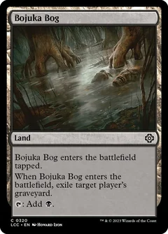 Bojuka Bog 320