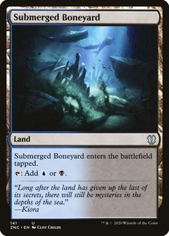 Submerged Boneyard 141