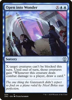 Open into Wonder 34