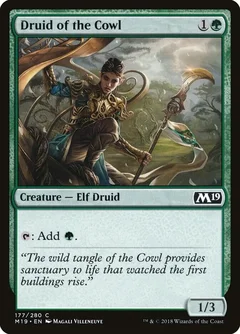 Druid of the Cowl Foil 177