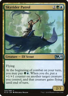 Skyrider Patrol Foil 224