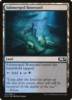 Submerged Boneyard Foil 257