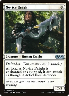 Novice Knight 30