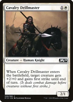 Cavalry Drillmaster Foil 8