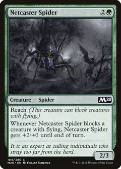 Netcaster Spider 184