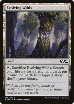 Evolving Wilds Foil 246