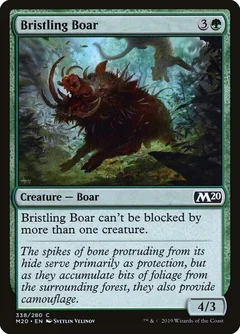 Bristling Boar 338