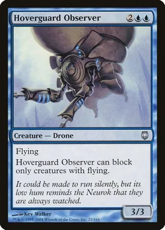 Hoverguard Observer Foil 22