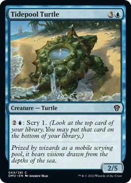 Tidepool Turtle Foil