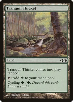 Tranquil Thicket 27