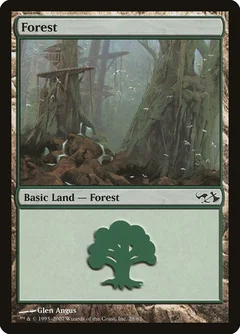 Forest (28) 28