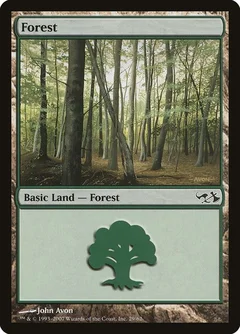 Forest (29) 29