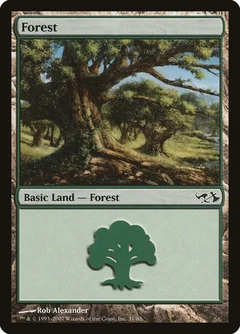 Forest (31) 31