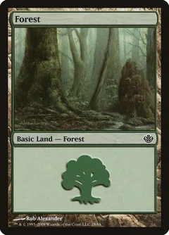 Forest (28) 28