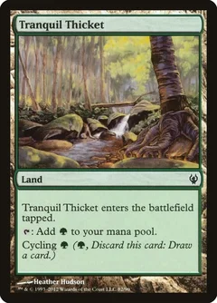 Tranquil Thicket 82