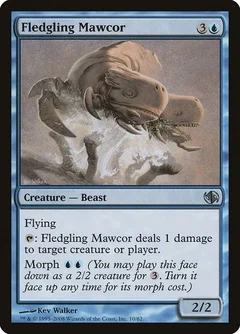 Fledgling Mawcor 10