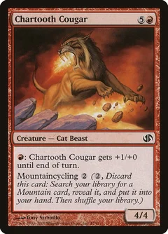 Chartooth Cougar 47