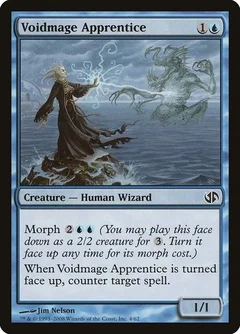 Voidmage Apprentice 4