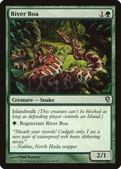 River Boa 49