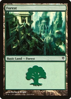 Forest (88) 88