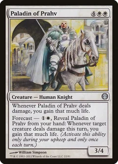 Paladin of Prahv 22