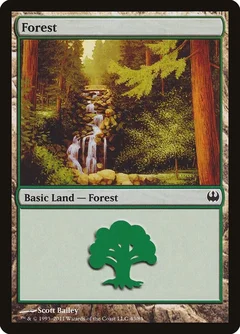 Forest (43) 43