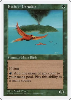 Birds of Paradise 142