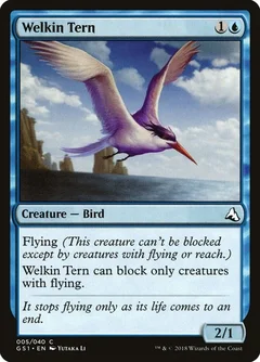Welkin Tern 5