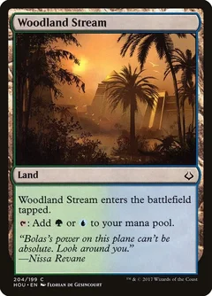 Woodland Stream 204