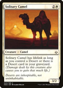 Solitary Camel 23
